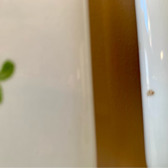 Set Four Vintage Antique Hand Painted Floral Porcelain Door Finger Push Plates - Picture 6 of 6